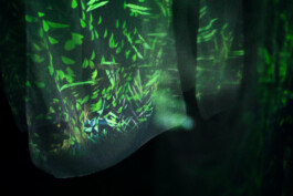 intellectual property of Lukas Ruoff