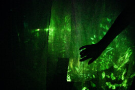 intellectual property of Lukas Ruoff