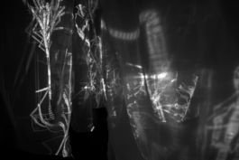 intellectual property of Lukas Ruoff