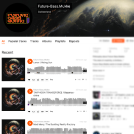 intellectual property of Lukas Ruoff