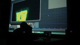 intellectual property of Lukas Ruoff