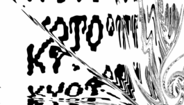  intellectual property of Lukas Ruoff