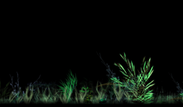 intellectual property of Lukas Ruoff