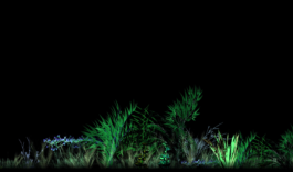 intellectual property of Lukas Ruoff