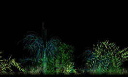 intellectual property of Lukas Ruoff