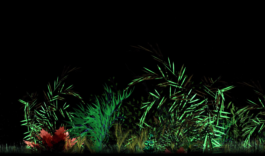 intellectual property of Lukas Ruoff