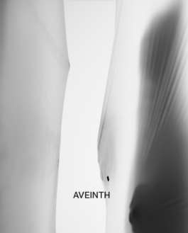 intellectual property of Lukas Ruoff