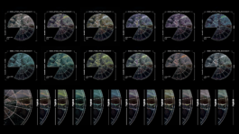 intellectual property of Lukas Ruoff