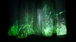  intellectual property of Lukas Ruoff