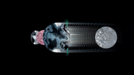 intellectual property of Lukas Ruoff