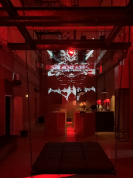 intellectual property of Lukas Ruoff