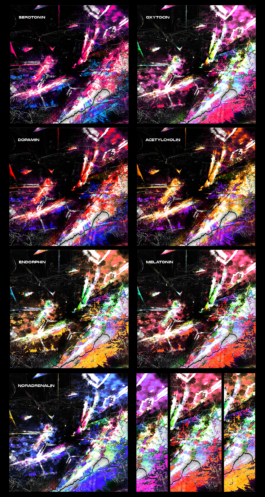 intellectual property of Lukas Ruoff