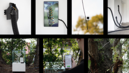  intellectual property of Lukas Ruoff