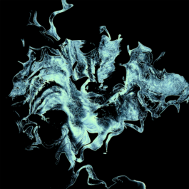 intellectual property of Lukas Ruoff