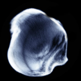 intellectual property of Lukas Ruoff